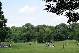 Prospect Park em 2024: Um Vislumbre Abrangente do Coração Verde de Brooklyn