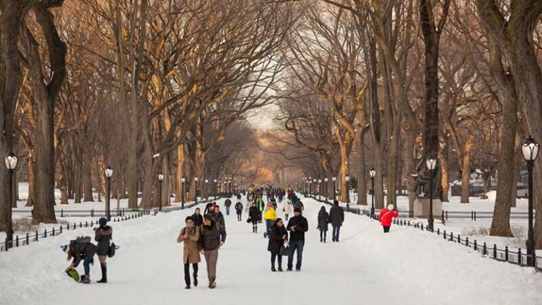 Blog Renny NYC