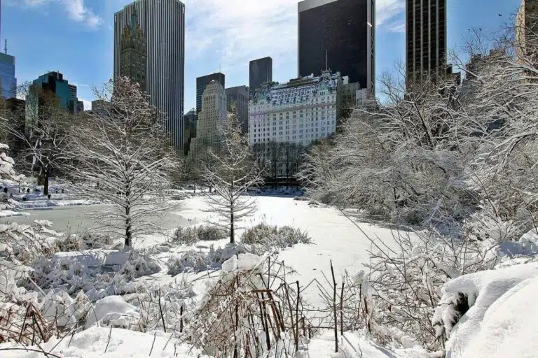 Blog Renny NYC