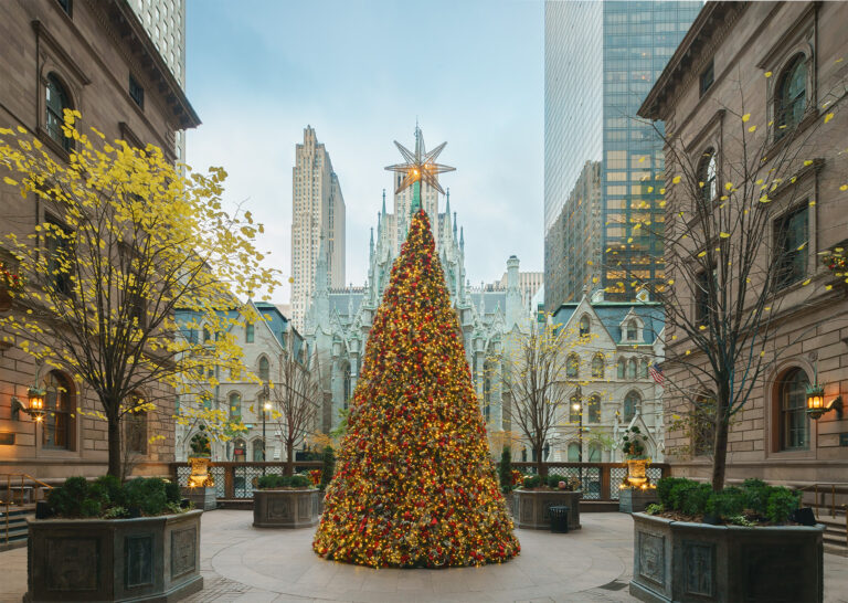 Blog Renny NYC
