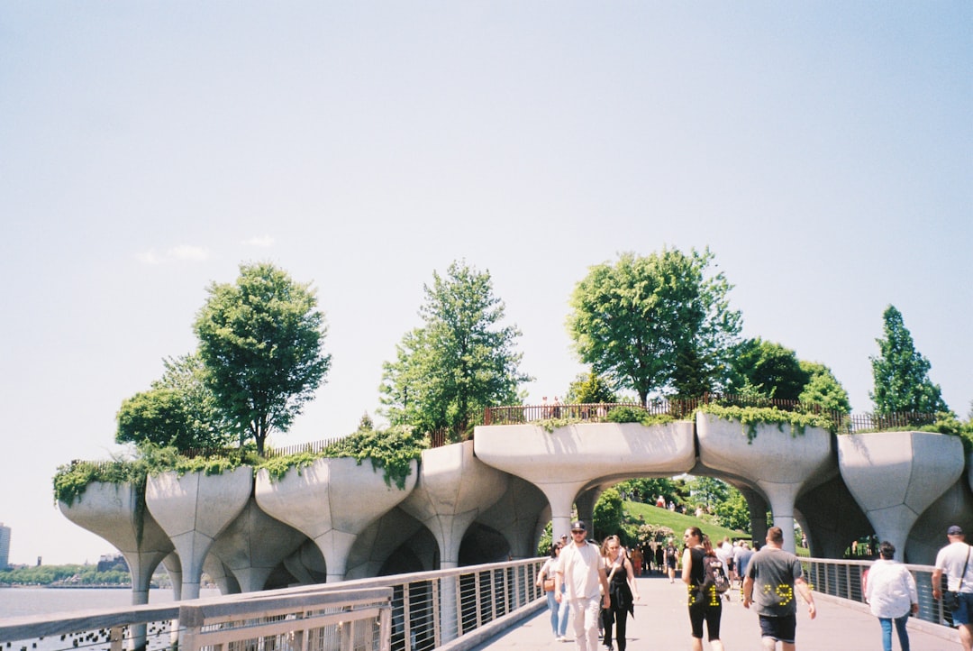 Little Island Nova York: o que é, como chegar e por que visitar no verão 1 O que é a Little Island (parque flutuante no Hudson River) e onde fica? — little island park