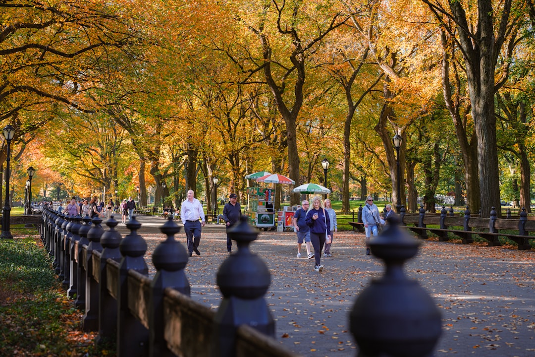 O que fazer no verão em Nova York 2026 2 Como aproveitar o clima e a logística: horários, deslocamentos e tickets que evitam filas — summer new york street